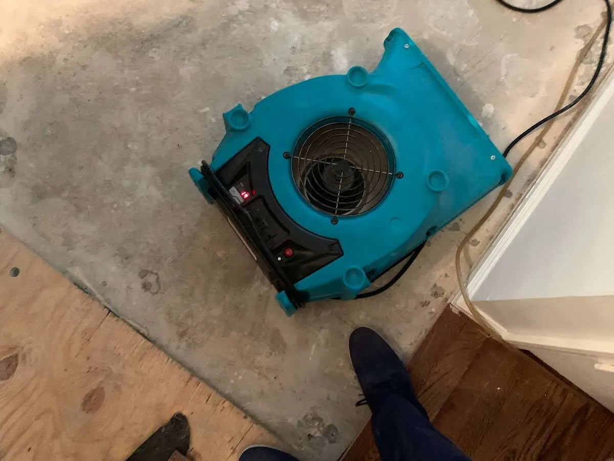Air mover drying subfloor during Leak Detection & Repair in Clifton